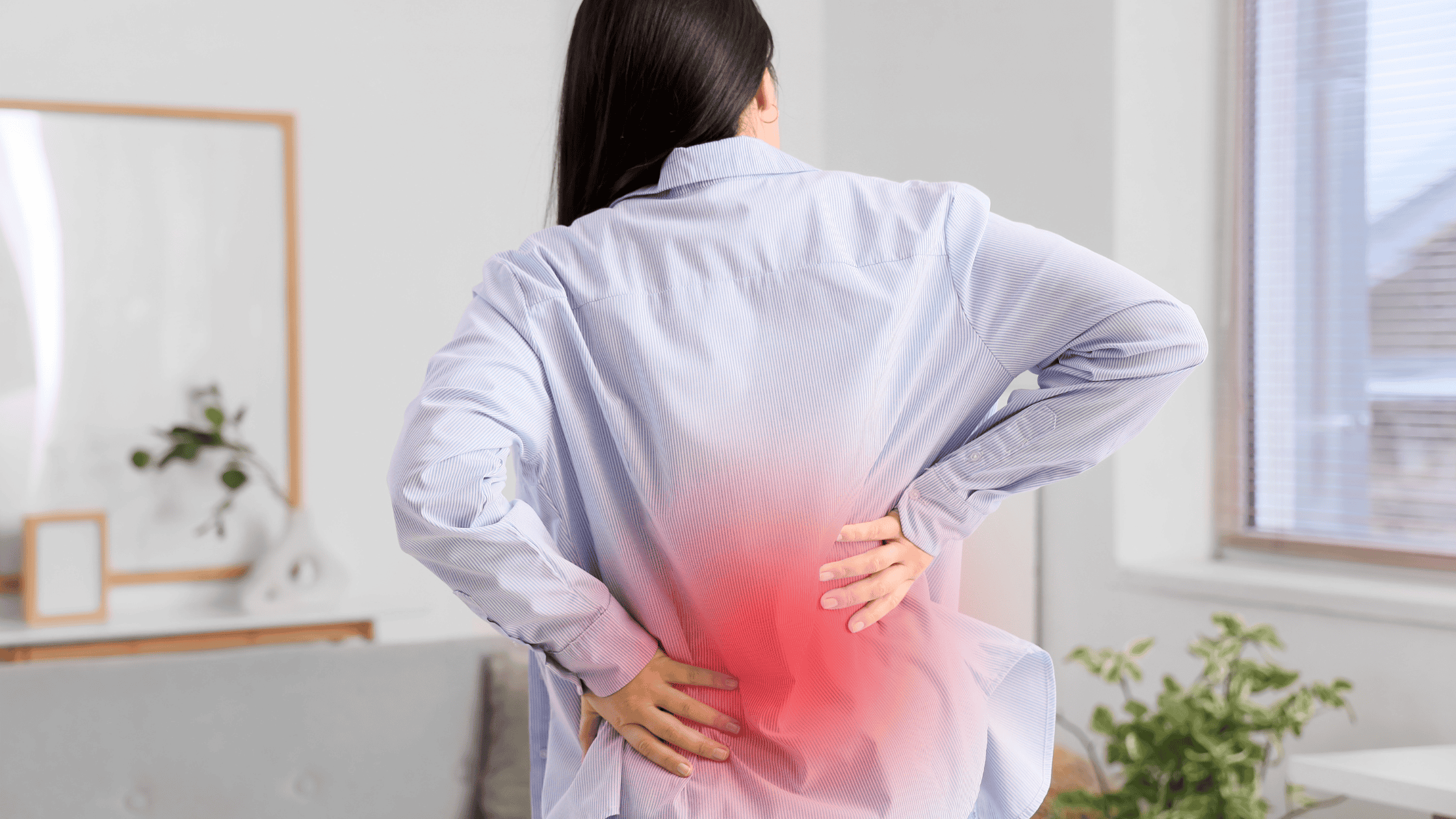 vertebrogenic pain
